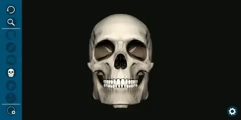 Face 3D Mobile Apps